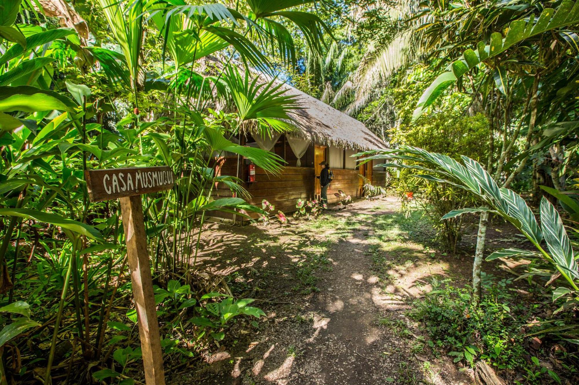 Hacienda Herrera Tambopata Пуэрто-Мальдонадо Экстерьер фото